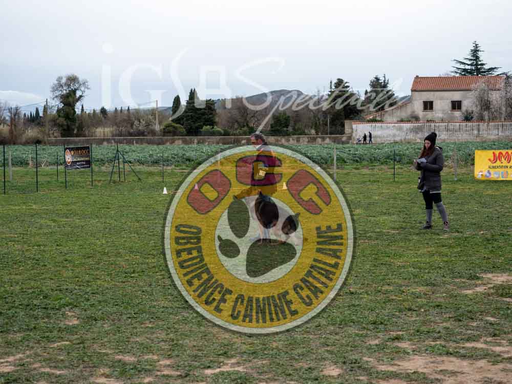 P1075933
