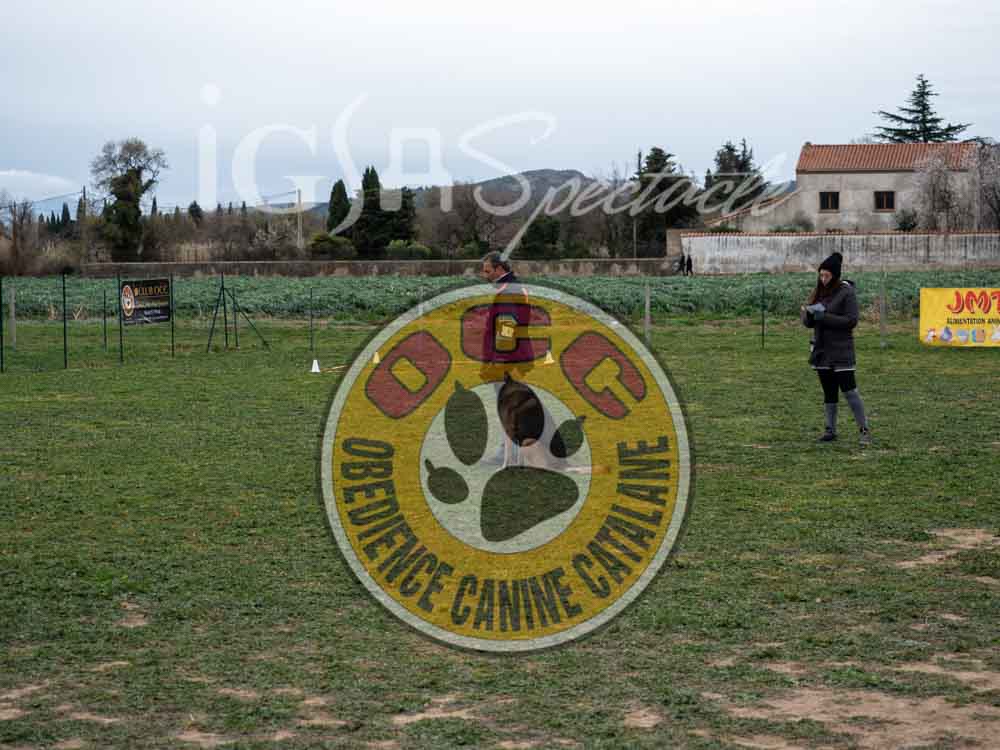 P1075934